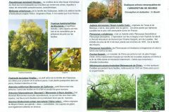 Arboretum-de-Segrez-1