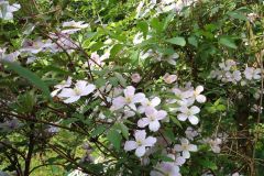 DSC00056