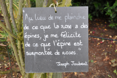 Jardin et Roseraie André Eve, 20 juin 2015