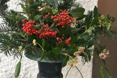 IMG-20211219-WA0003