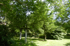DSCN9867