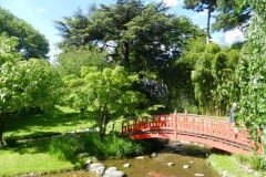 Jardin-japonais-1